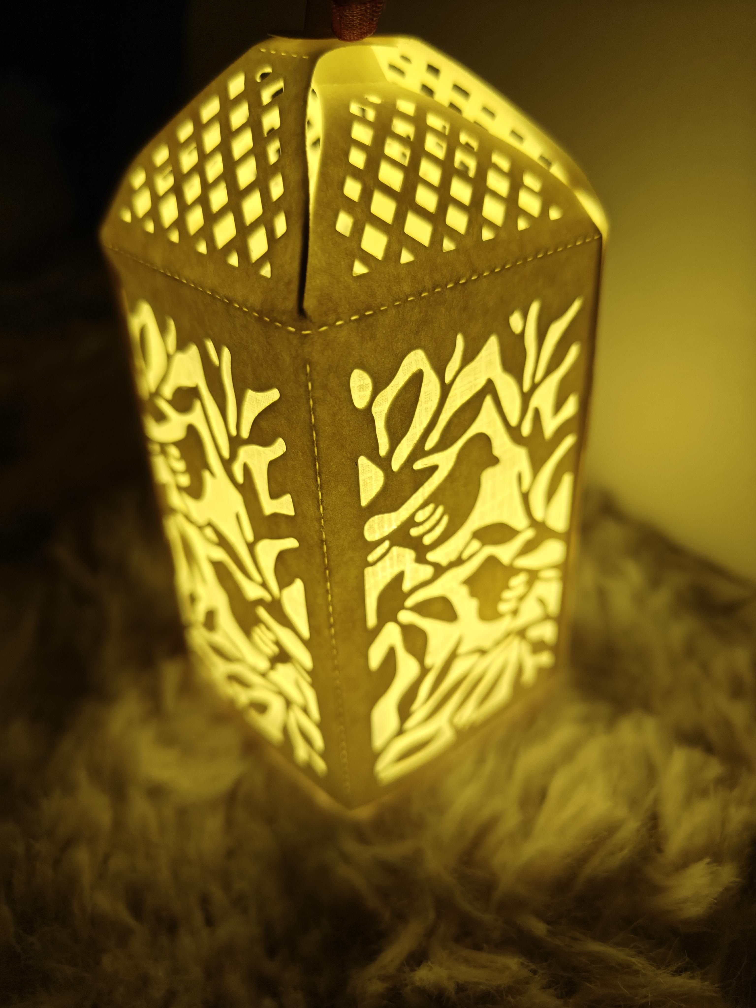 1000015569-1.jpg